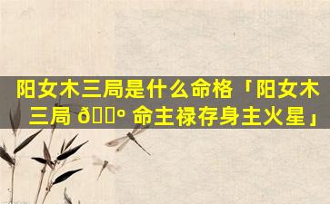 阳女木三局是什么命格「阳女木三局 🌺 命主禄存身主火星」